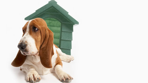 What the Watchdogs Say: Where Grant Monitoring Programs Fall Short