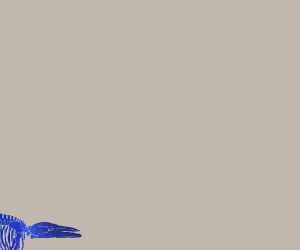 unnamed (2).gif