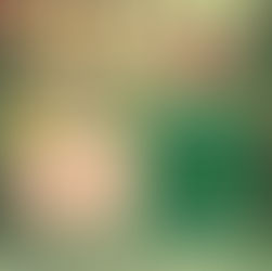 2024 MUSE クリスマスコンサート