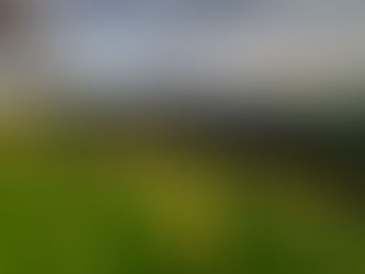 NEU: Frühlings-Tageswanderungen