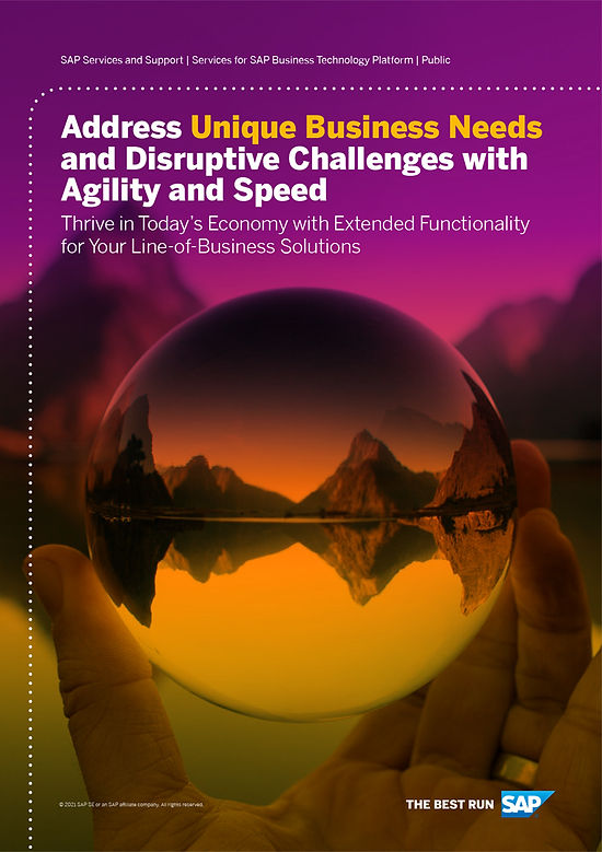 SAP-BTP-LOB-BR-cover.jpg