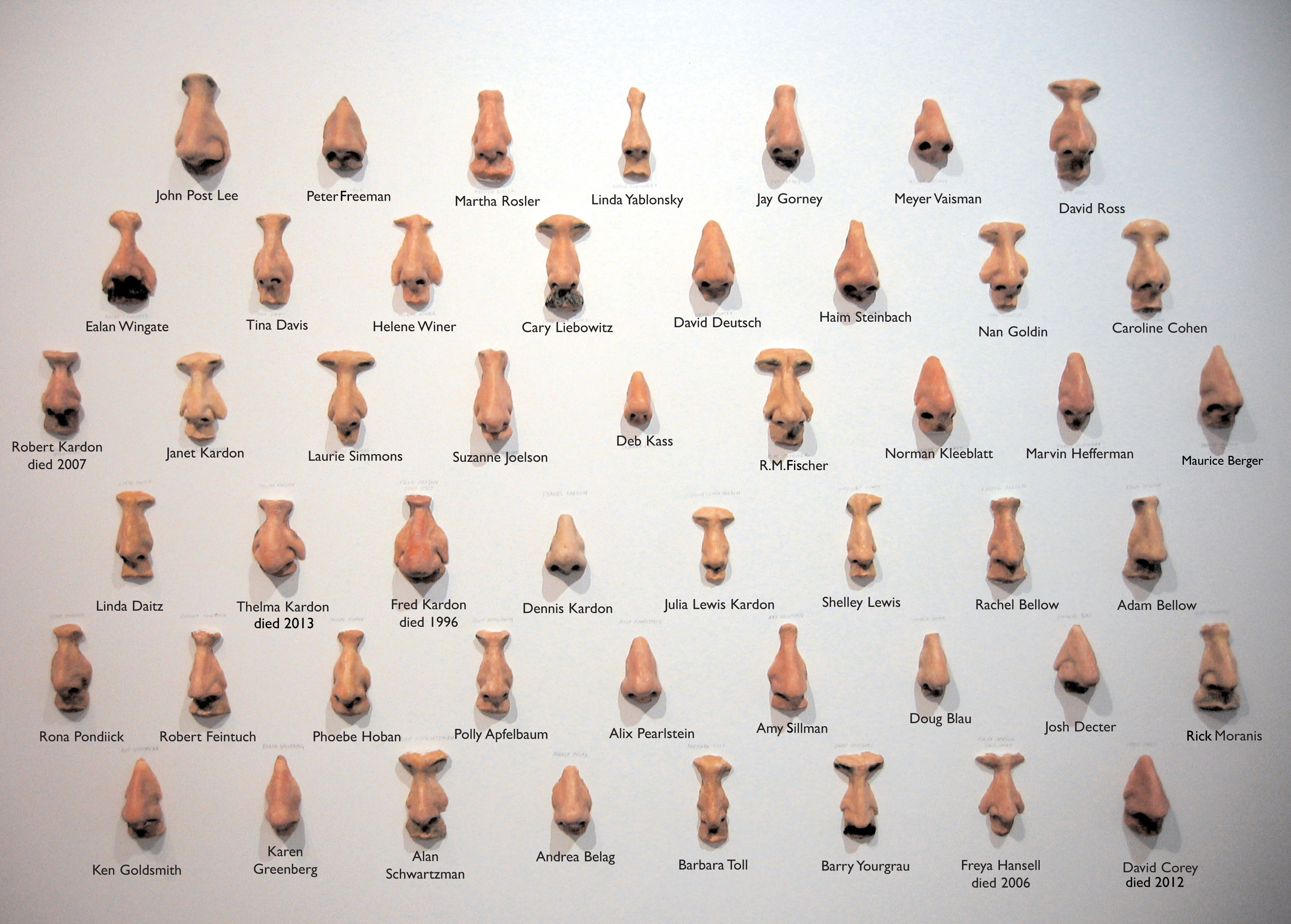 49 Jewish Noses