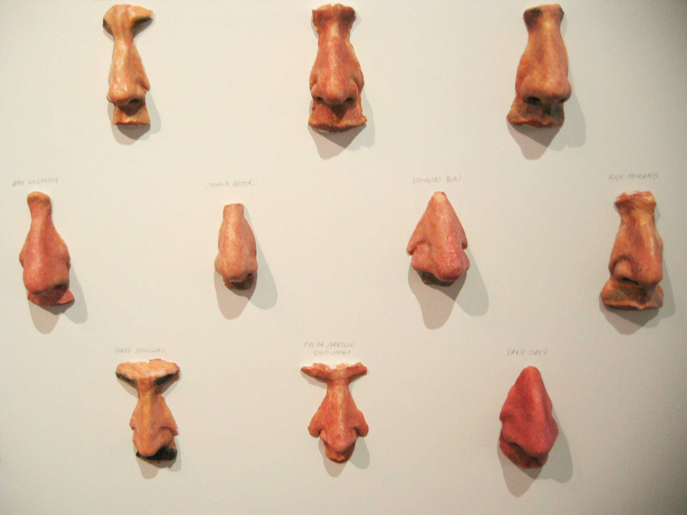 49 Jewish Noses