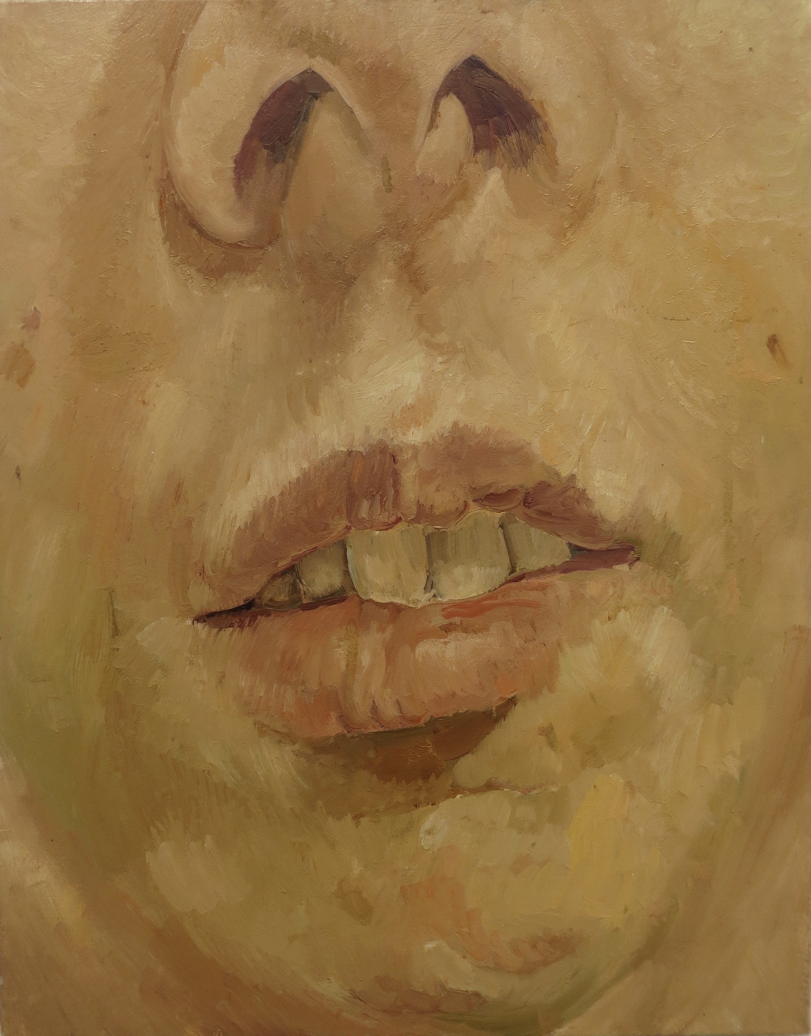 Face