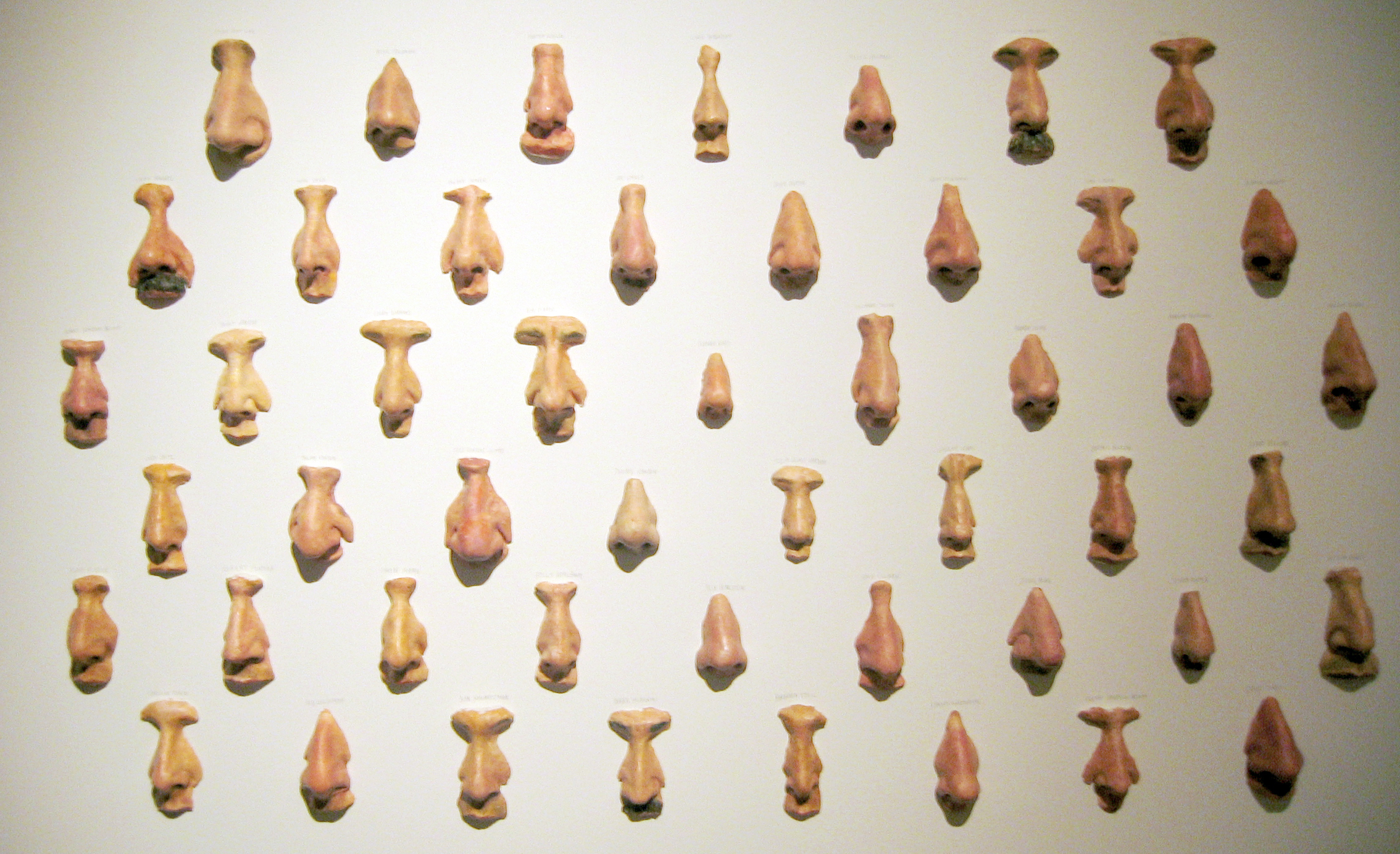 49 Jewish Noses