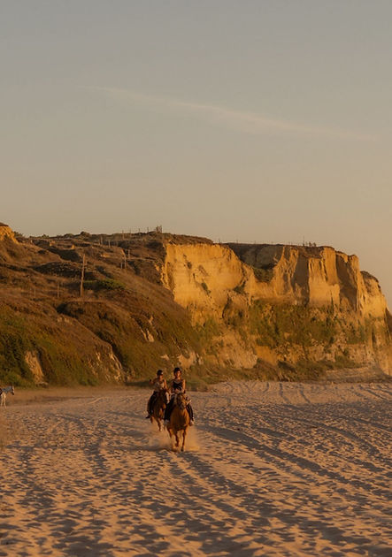 WhatsApp Image 2026-04-06 at 16.10_edited.jpg