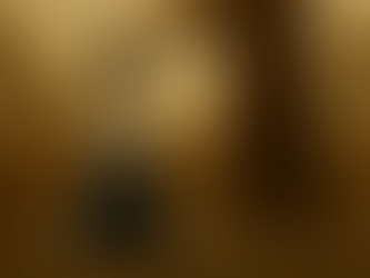 İçsel Yankılar (Yeni Bölüm #19)