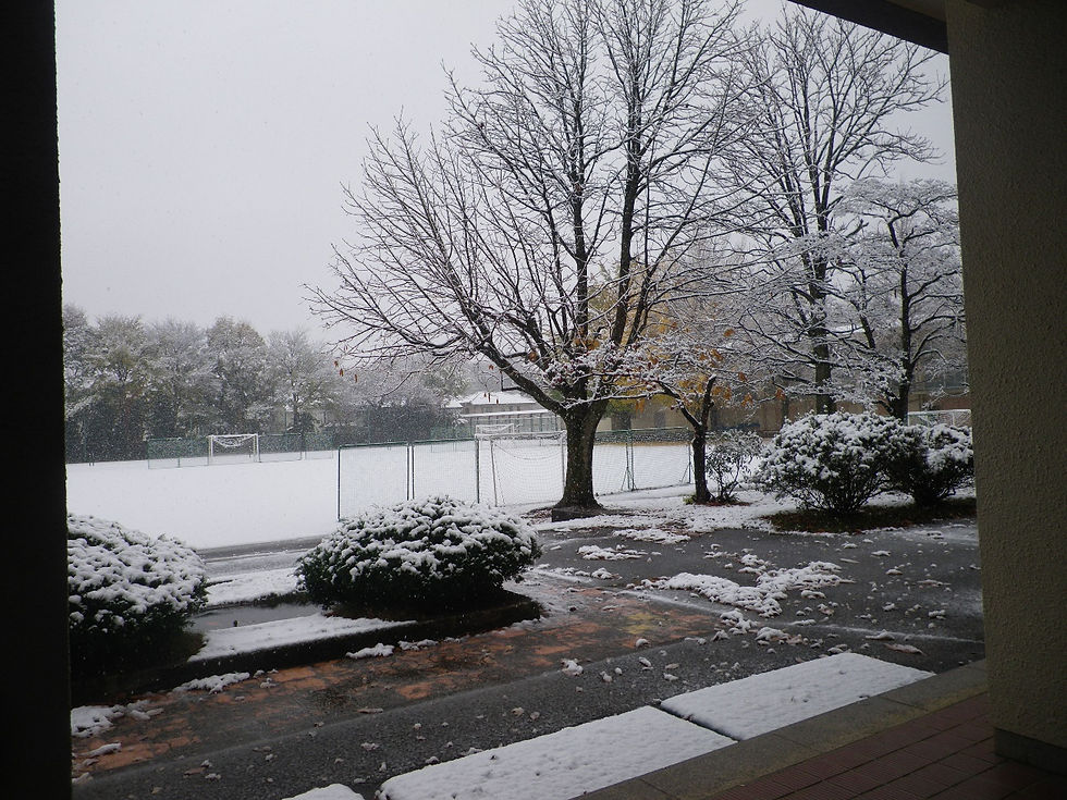 オンライン講演会