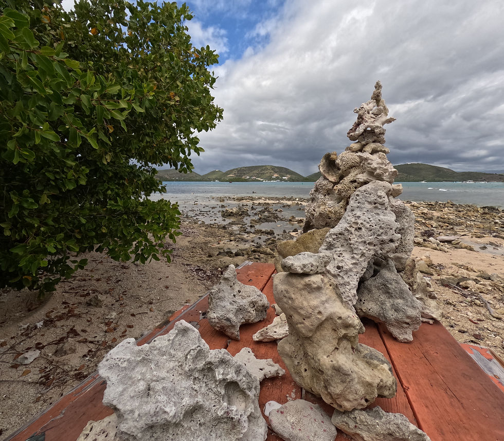 Coral Art on Bench at Mata La Gata