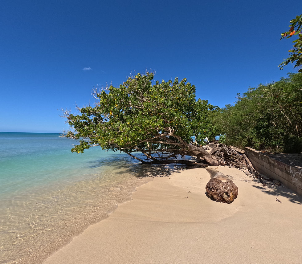 Playa Buye, Cabo Rojo