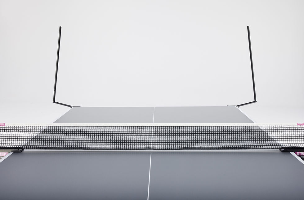 Thumbnail: Ball Catching Net