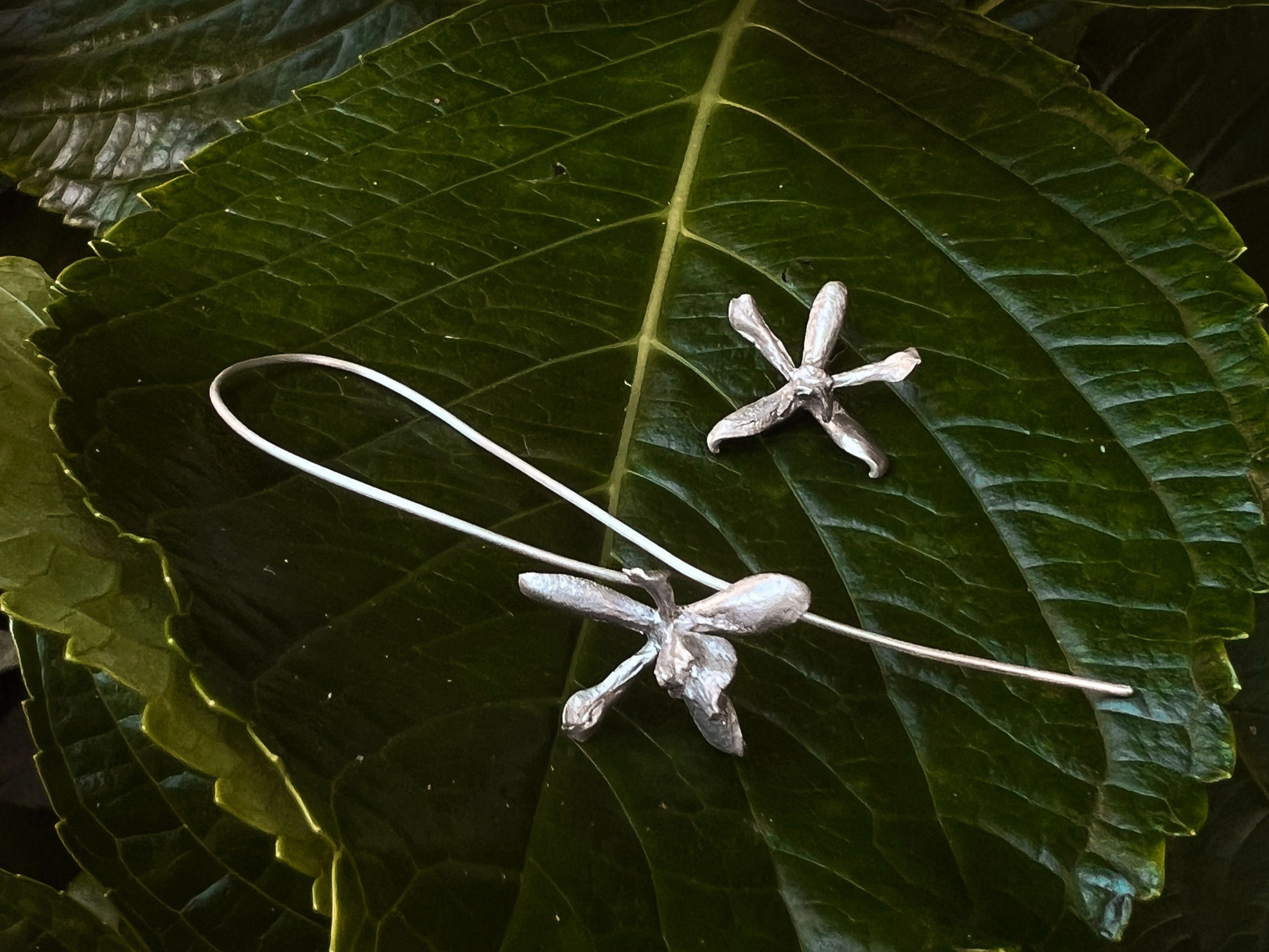 Brinco Orquídea Mini - Prosthechea
