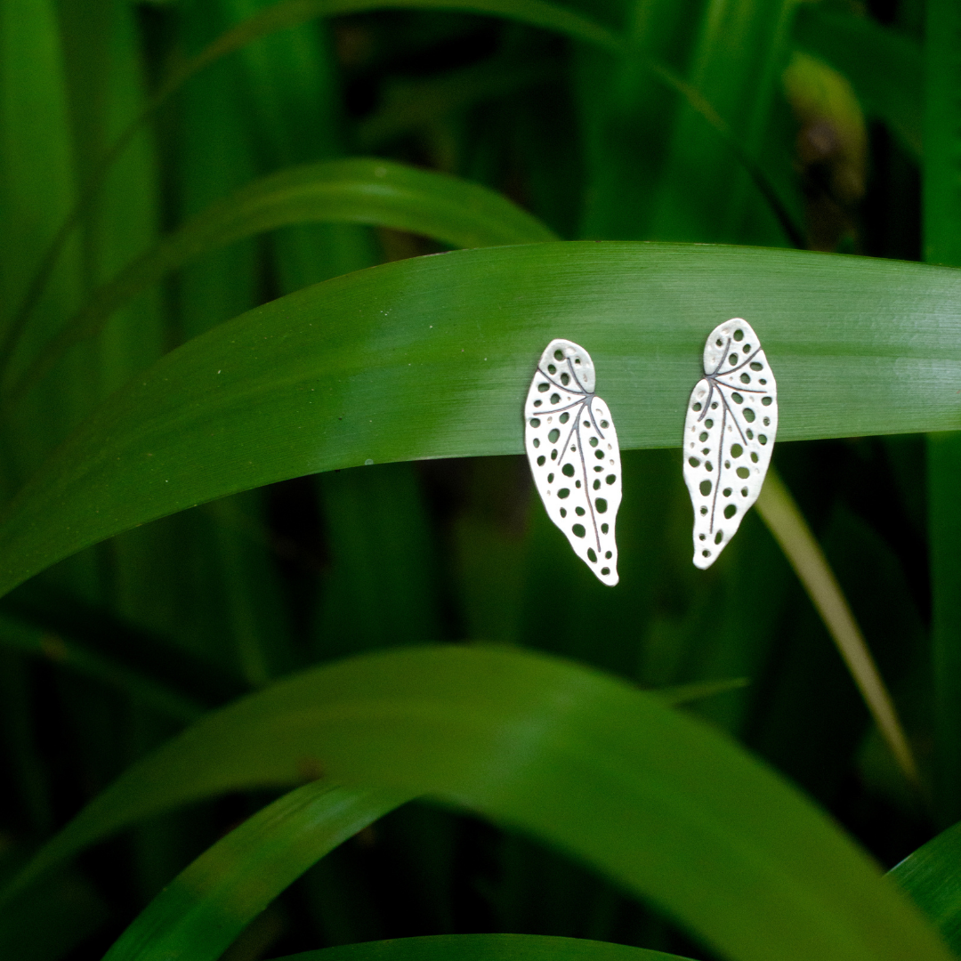 Brinco Begônia Maculata