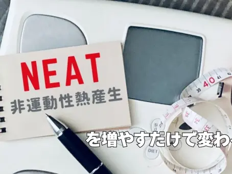 NEAT(非運動性熱産生)を増やすだけで変わる?日常活動とダイエットの関係