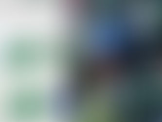 Début de saison difficile pour les Jets