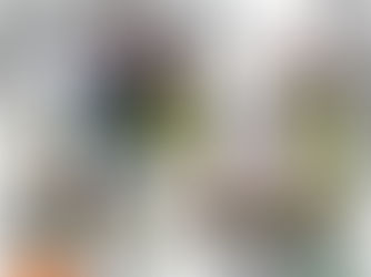 La descente aux enfers des Jets se poursuit