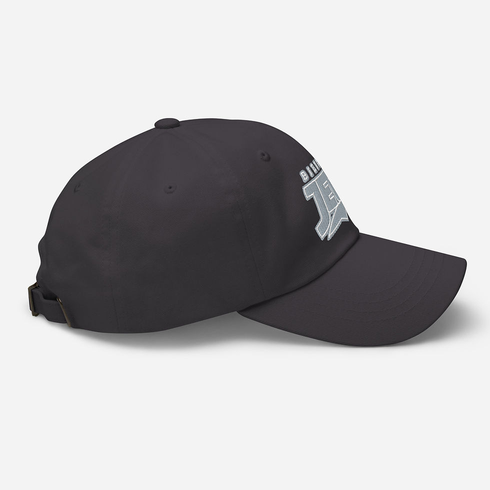 Miniature : Bienna Jets Classic - Grey Dad Cap