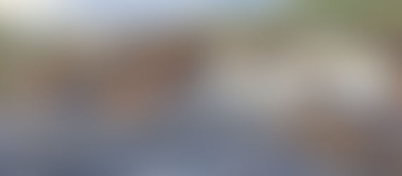 Onde fazer tranças em Paris?