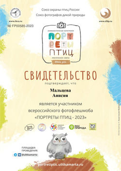 FP00585-2023_page-0001