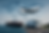 Freight Forwarding