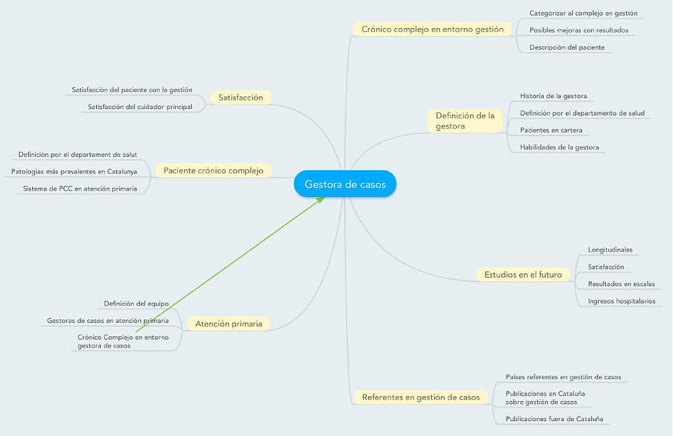 Mapa gestión de casos