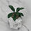 Thumbnail: Hand embroidered plant | Greek statue plant pot