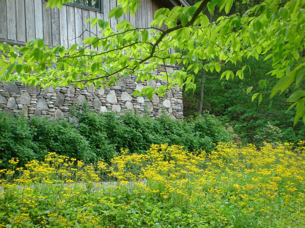 gallery 1 verdantlandscapes