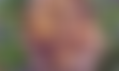 Chanterelle Soup - Kantarellikeitto 