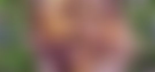 Chanterelle Soup - Kantarellikeitto 