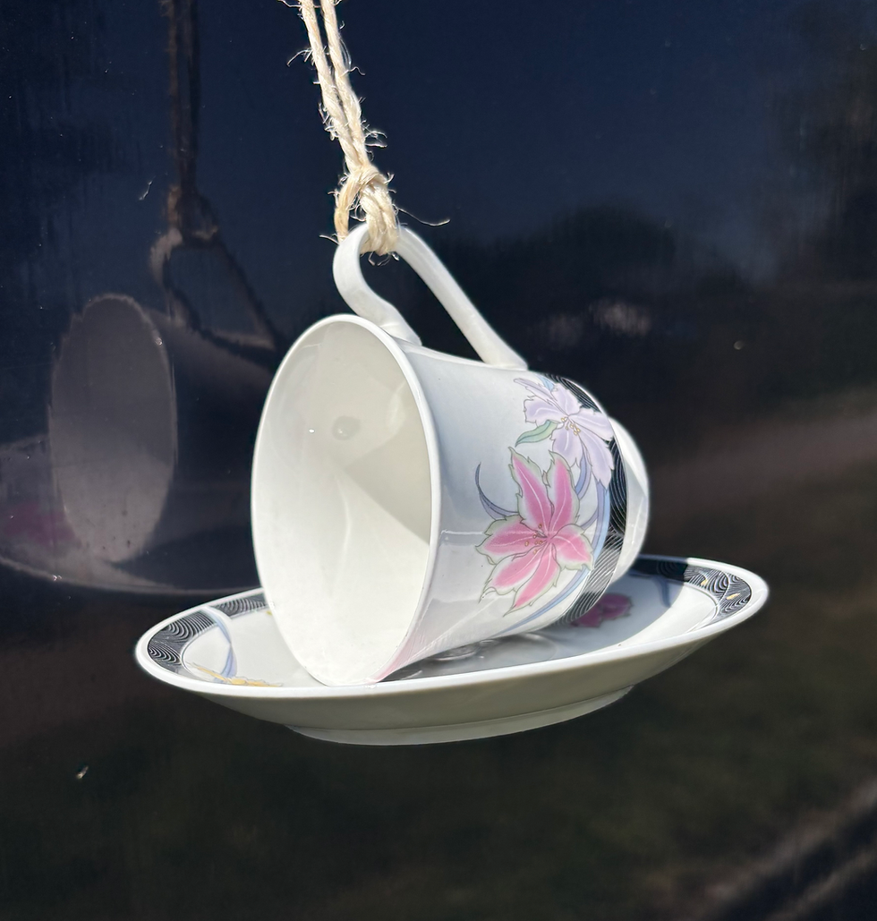 Thumbnail: Bird feeder