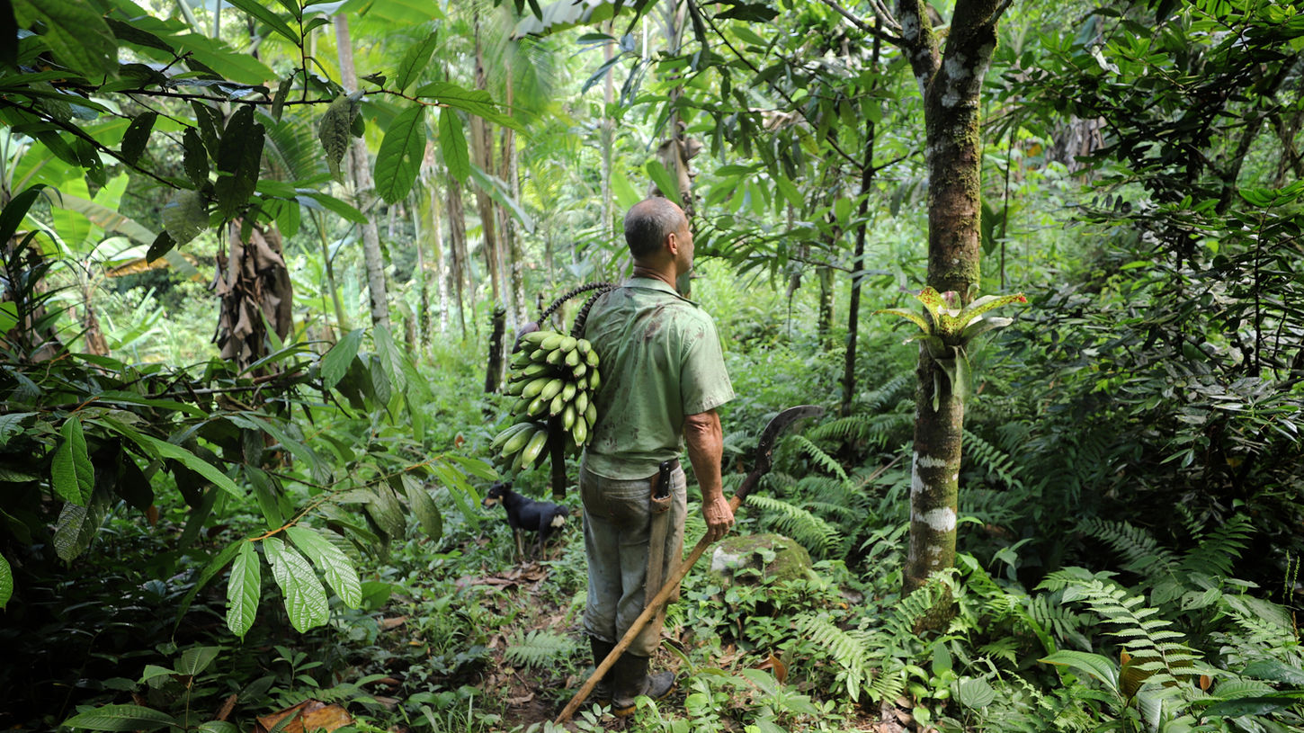 Roteiro Rede Nhandereko Turismo de Base Comunitária TBC