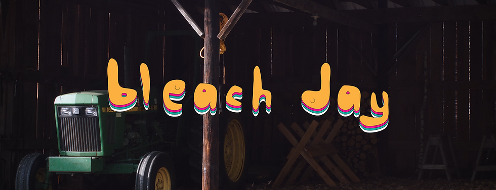 Bleach Day 2026 Color Grade.00_00_04_08.Still001.png