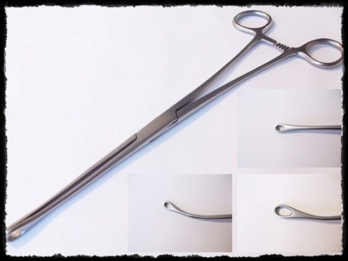 Pinza In Spugna Curva E Segretata Grafco, 9,5 Italia - Foto 3