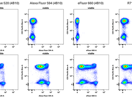 Fluoróforos para detectar marcadores en el núcleo