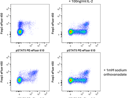 Phospho-flow: orthovanadate