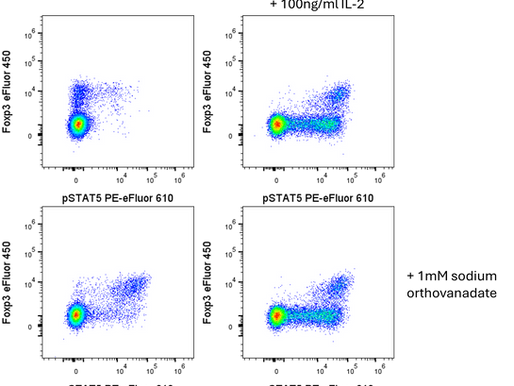 Phospho-flow: orthovanadate