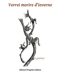 Vorrei morire d’inverno di Roberto Raieli
