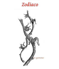 Zodiaco di Valentina Neri