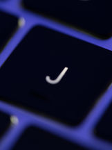 Exploring J-Find Visa's Impact & Utilization 2024: The Drive of Global Top Students to Work in Japan