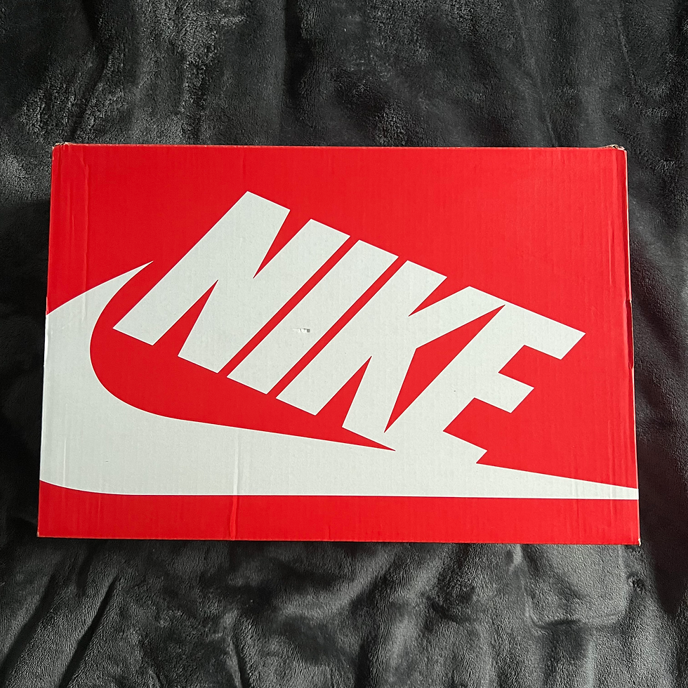 Thumbnail: NIKE DUNK LOW "MICHIGAN"