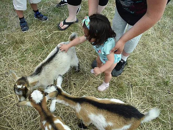 Kids Day-Petting Zoo Goats.jpg