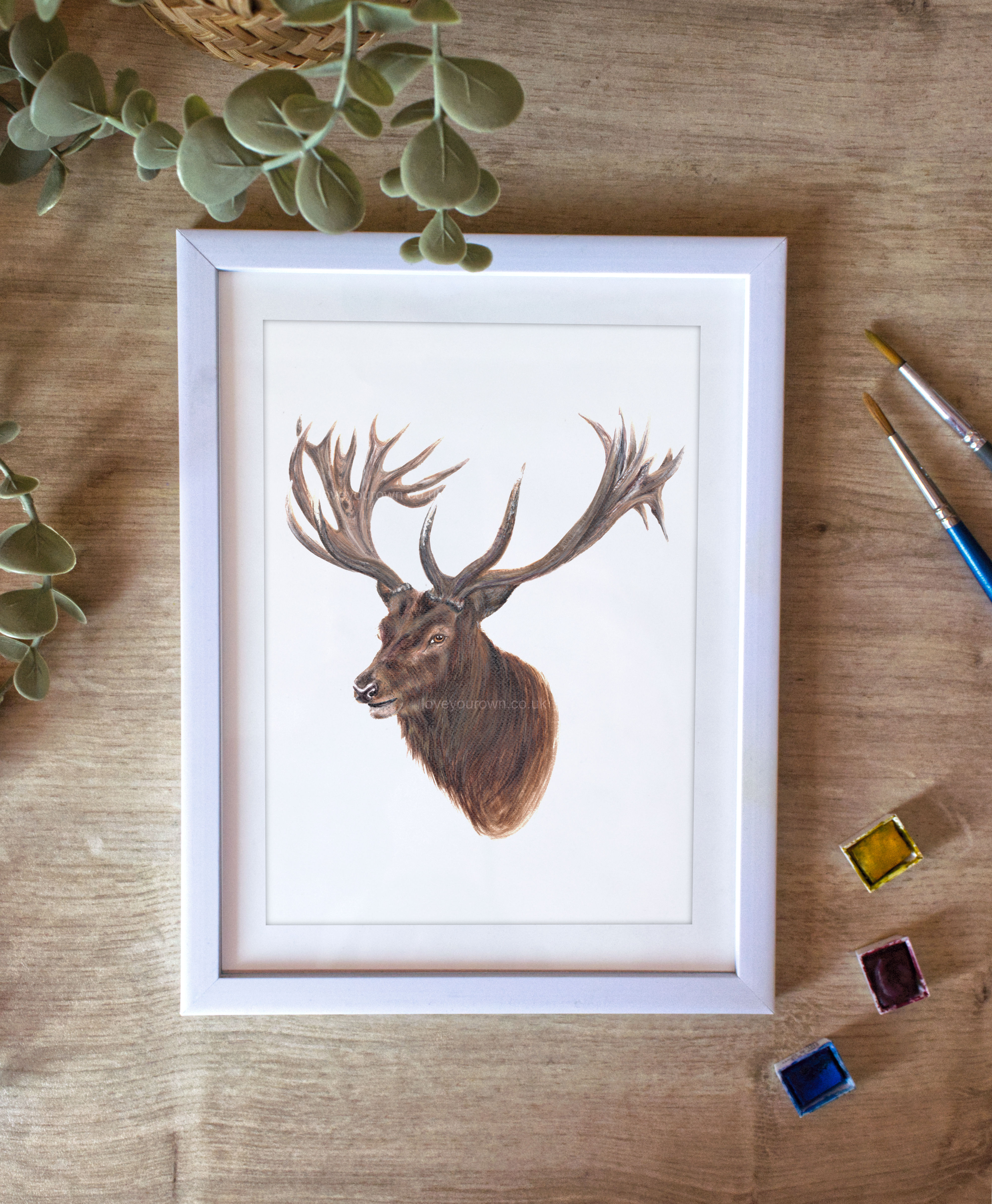 Nature's Crown Fine Art Print