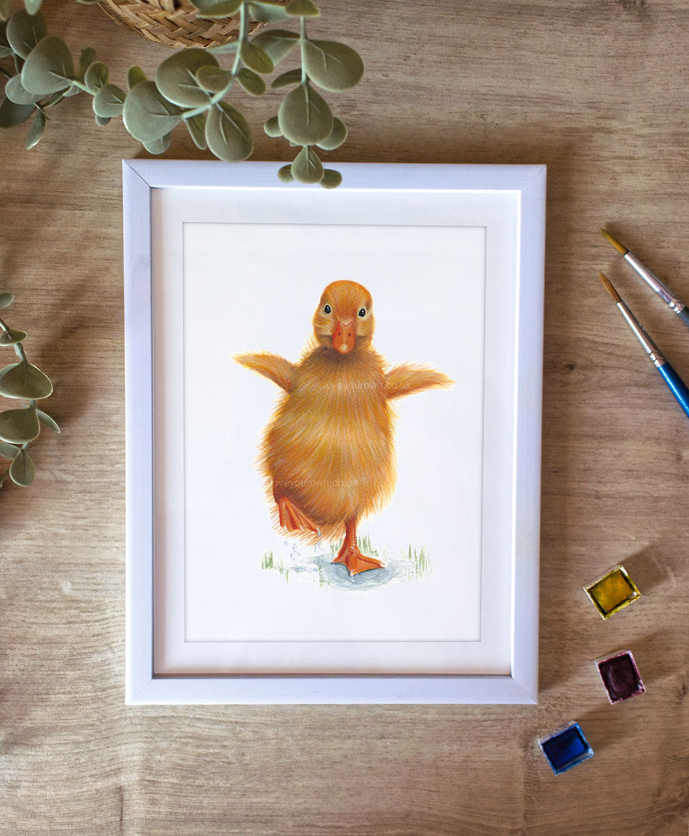 Springtime Waddle Fine Art Print