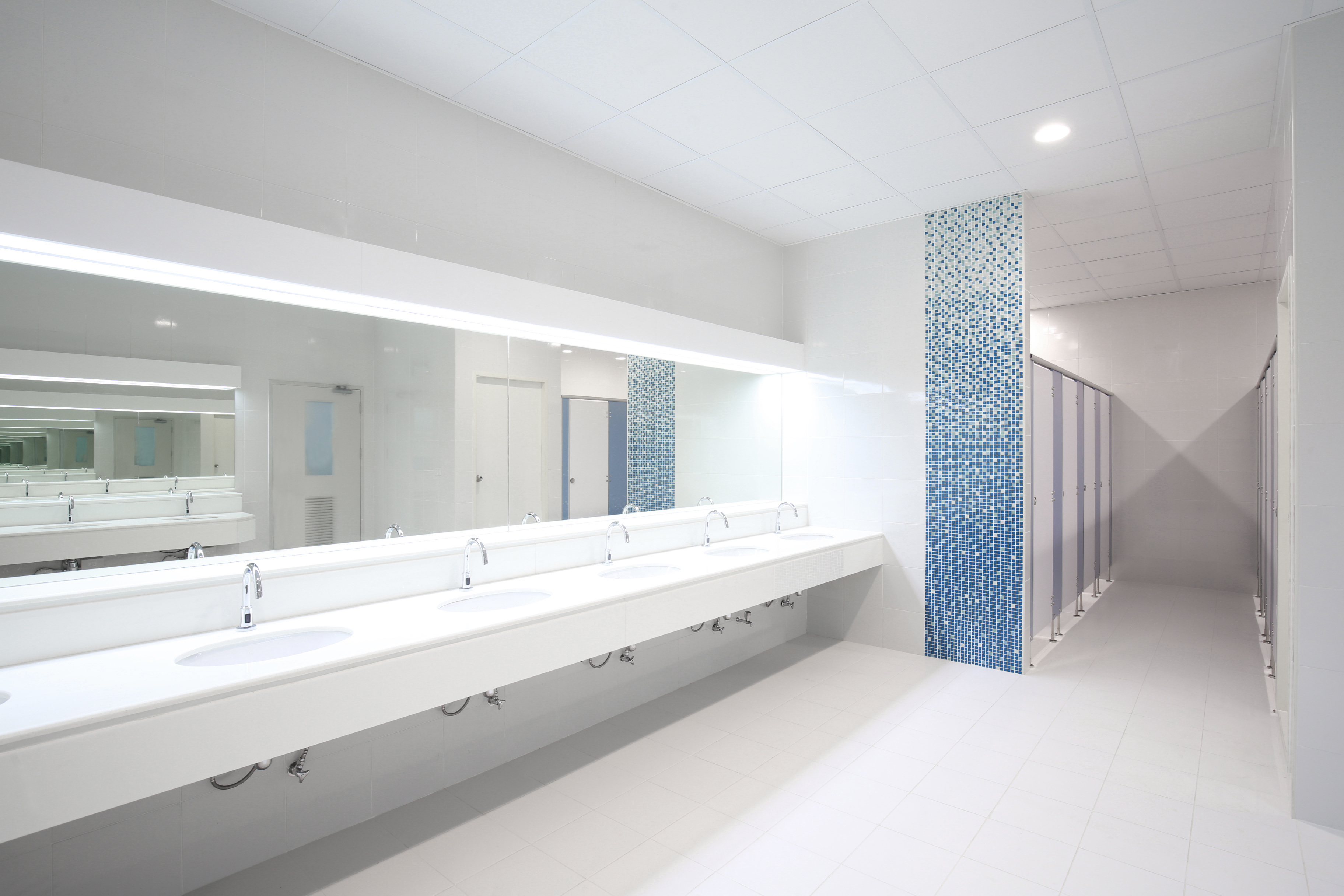 Scholt Industries Inc General Contractor