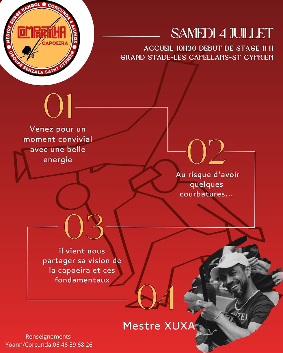 Stage de Capoeira