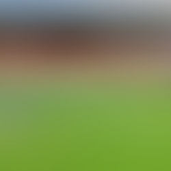 We Are Ports Donation To New Sprinkler System