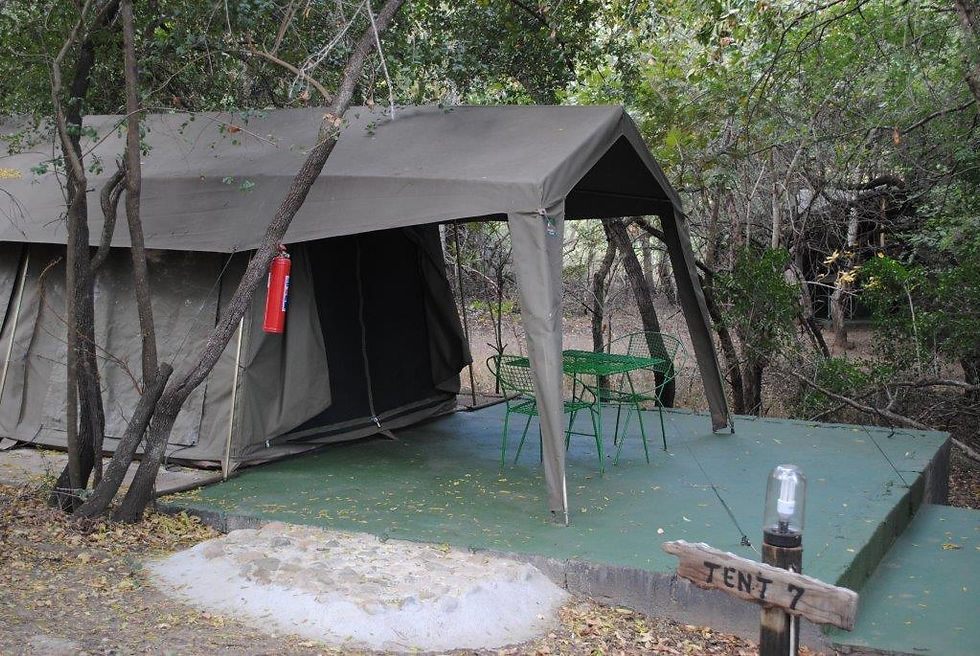 p13 tent
