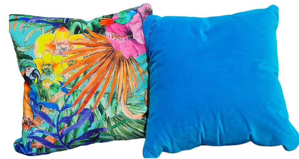 Thumbnail: Parrot Cushion with Deep Sky Blue Back
