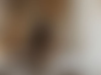 Rot før du reiser deg 