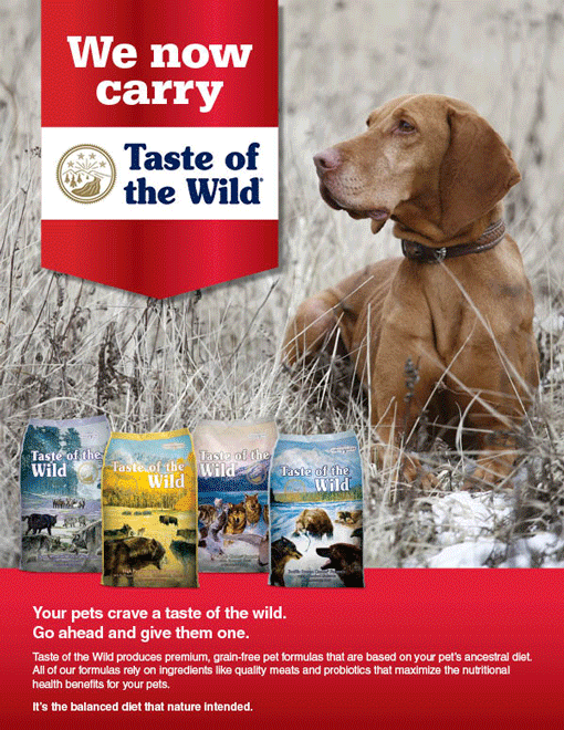 Taste of the Wild! Available at ACE!